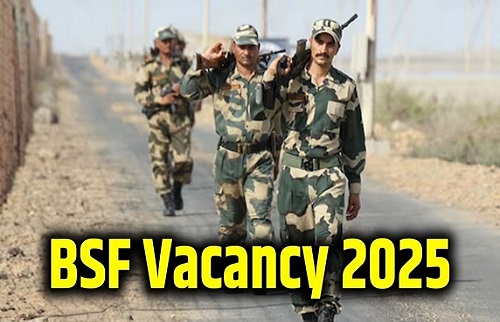 BSF Constable Tradesmen Recruitment 2025: कांस्टेबल ट्रेड्समैन के 3588 पदों पर भर्ती शुरू